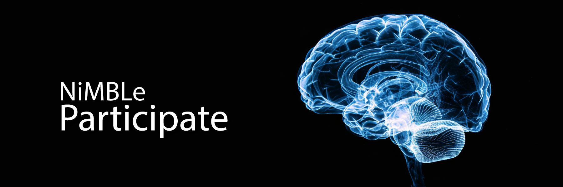 The words NiMBLe Participate are to the left of a a fluorescent illustration of a brain.