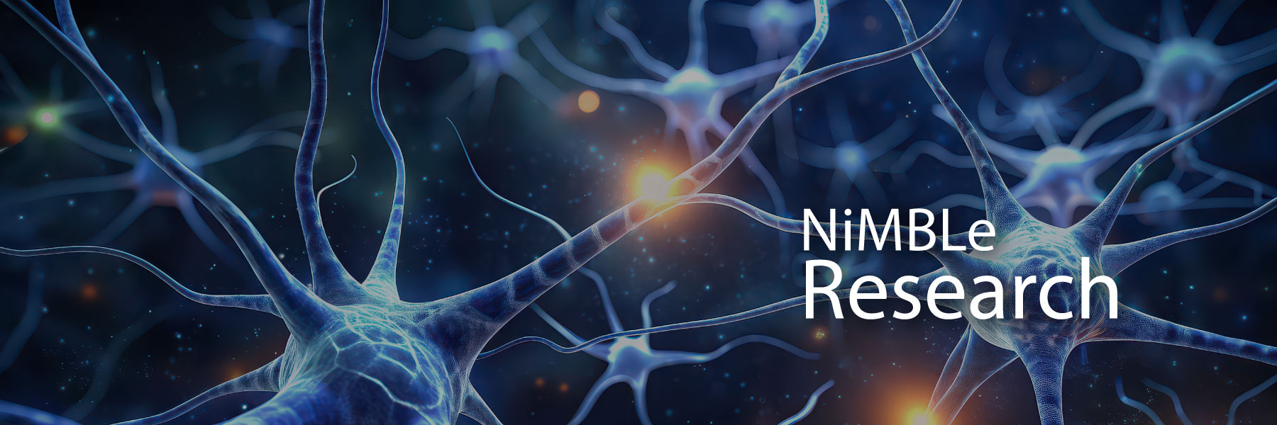 The words NiMBLe Research are layered on top of a blue illustration of neurons